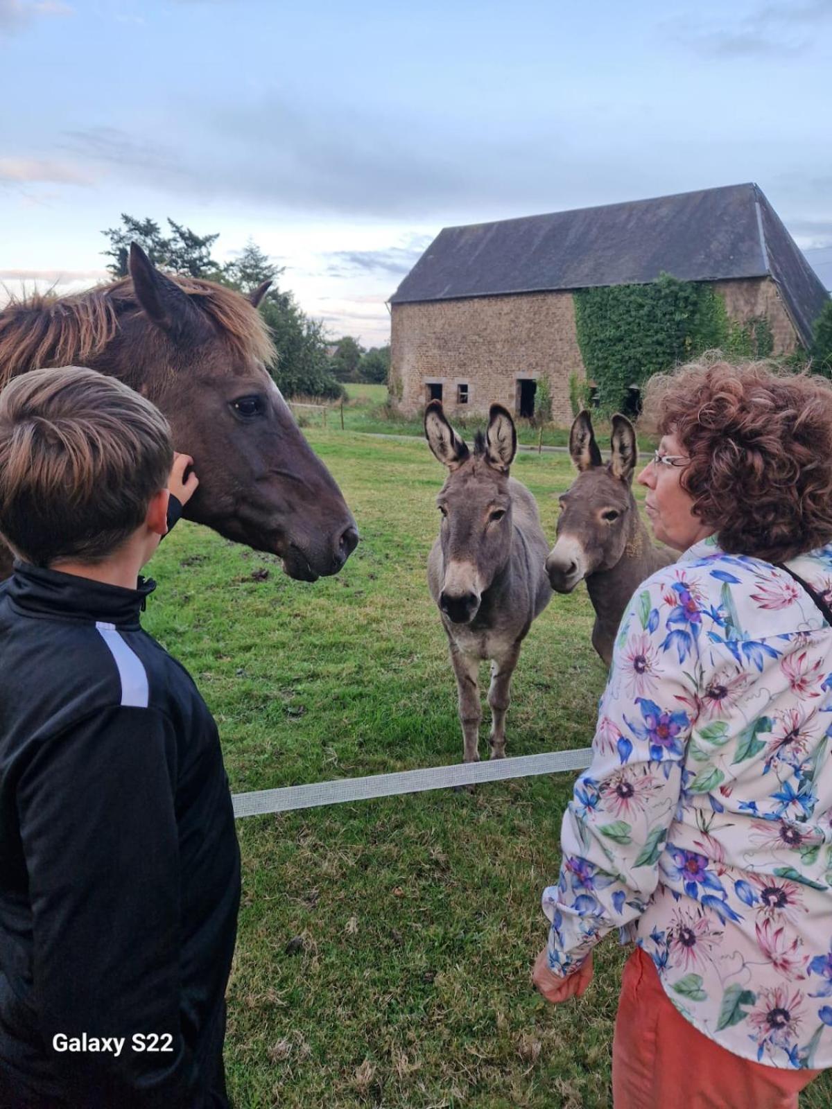 La Billardiere Camping A La Ferme Le Menil-Ciboult Exterior foto